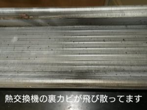 熱交換器の裏、カビが飛び散ってます