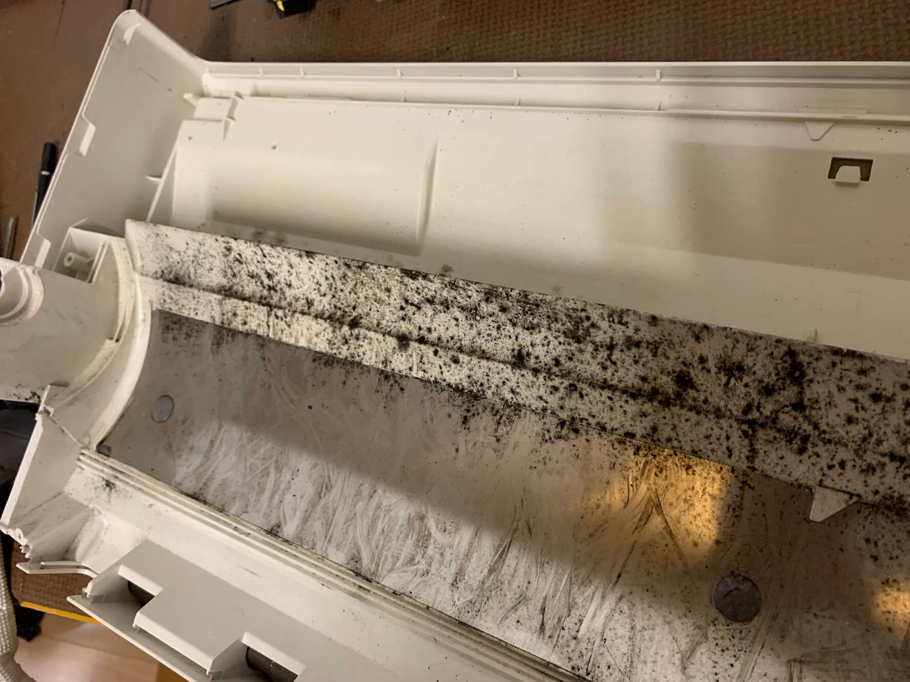 エアコンを分解しないと絶対に見れない、カビの衝撃の画像。怖がらない