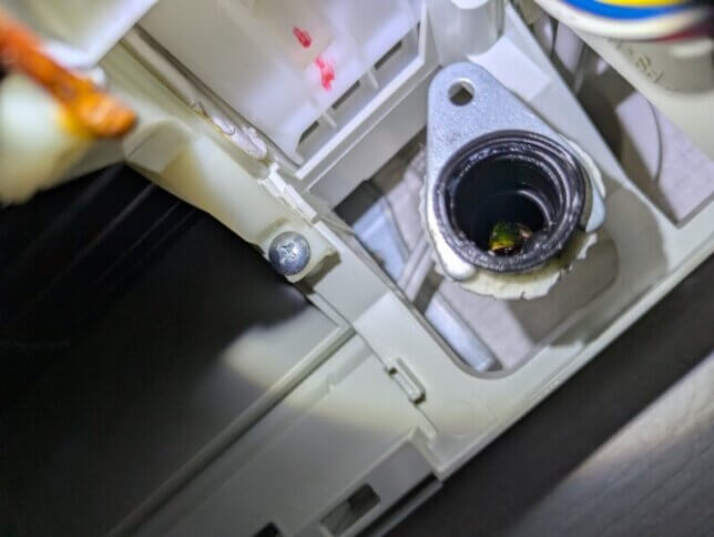 ドレンホースにカメムシ!