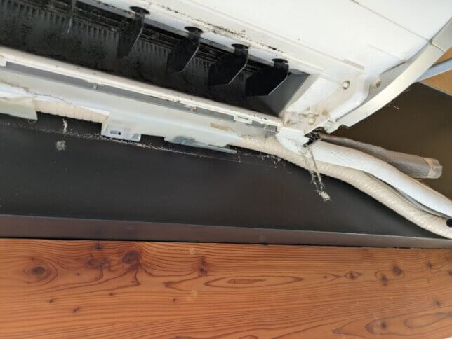 こんな所にもウサギちゃんの毛が