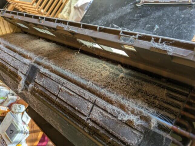 熱交換器の裏にもウサギちゃんの毛が