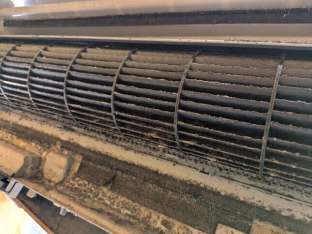 熱交換器を外した内部は間違いなく
カビが