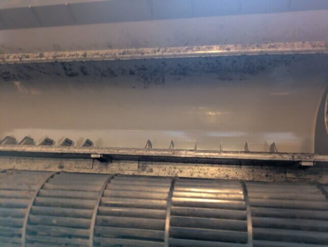 ファンの奥も自分で掃除したけど