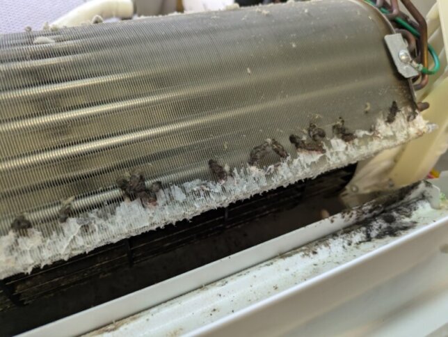 熱交換器ドレンパンの辺りが真っ白