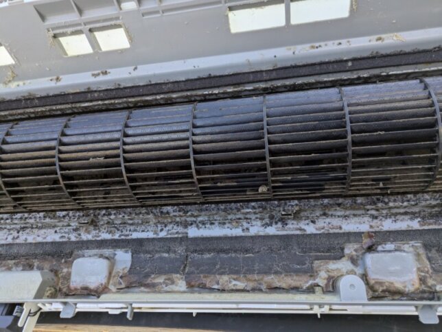 ドレンパンとファンがまだエアコンクリーニングして2年とは思えない汚れ方