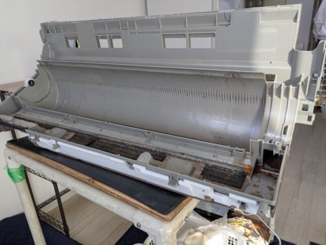 一度もエアコンクリーニングしていないダイキンのドレンパン