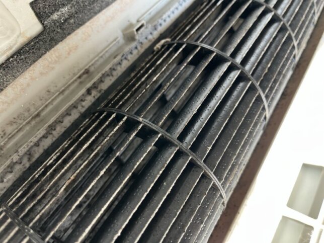 エアコン内部構造の汚れ確認