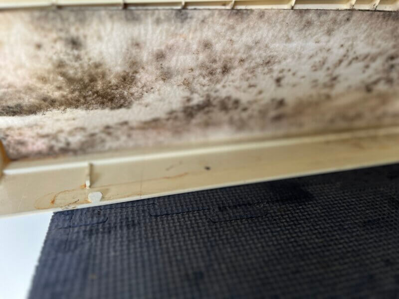 三菱 ノーマルエアコン パーツ洗浄後の様子2