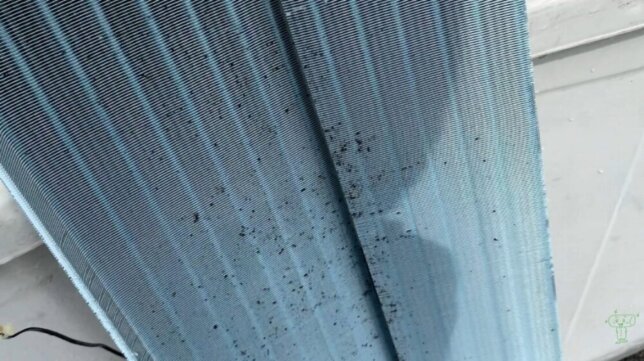 熱交換器の上部明らかにカビが