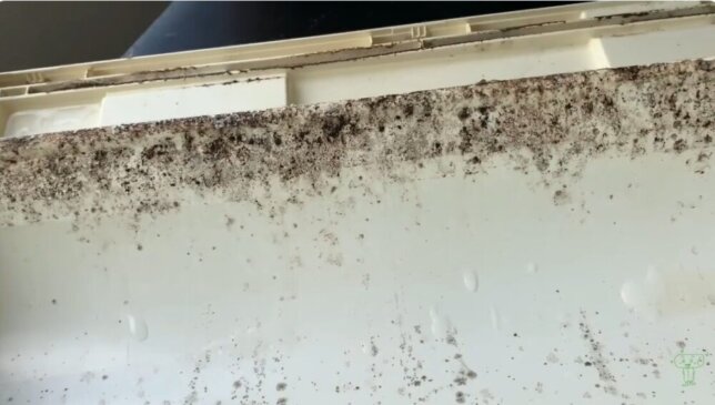 ファンの外すと吹き出し口の手の届かない所が汚れていた