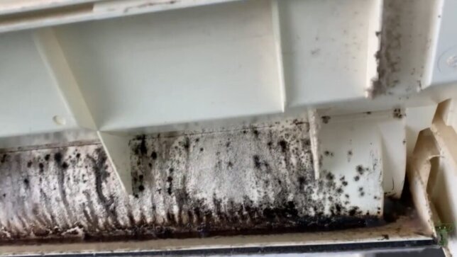 大阪府吹田市のお客様「3ヶ月前に洗ったのに…」エアコンの水漏れと悪臭が再発した驚きの原因とは？