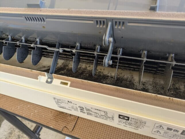 寄るとカビで真っ黒