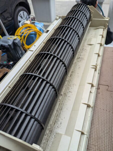 ファンにもカビが