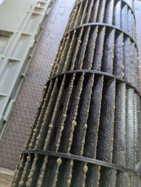 ファンもそれなりにカビが