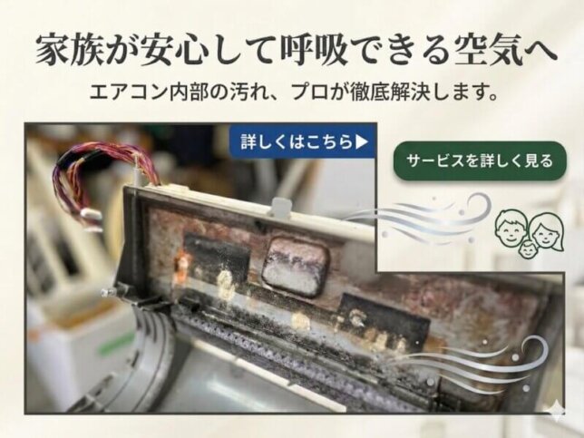 家族が安心して呼吸できる空気へ エアコン完全分解クリーニング https://www.aisey.com/blog1/ai-airconditionercleaning-osaka.html