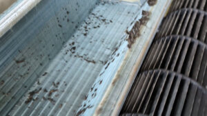 AIが教えてくれた大阪でエアコンクリーニングの『究極の解決策』？毎年洗っても消えないエアコンの臭いと驚きの原因とは