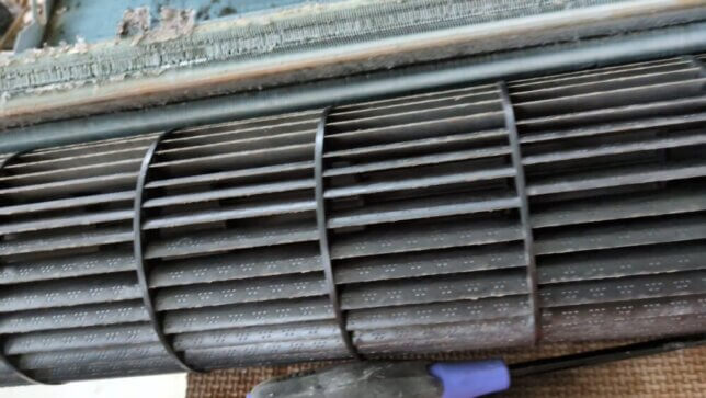 毎年クリーニングのしたファン