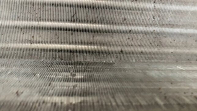 洗浄前の熱交換器の裏
