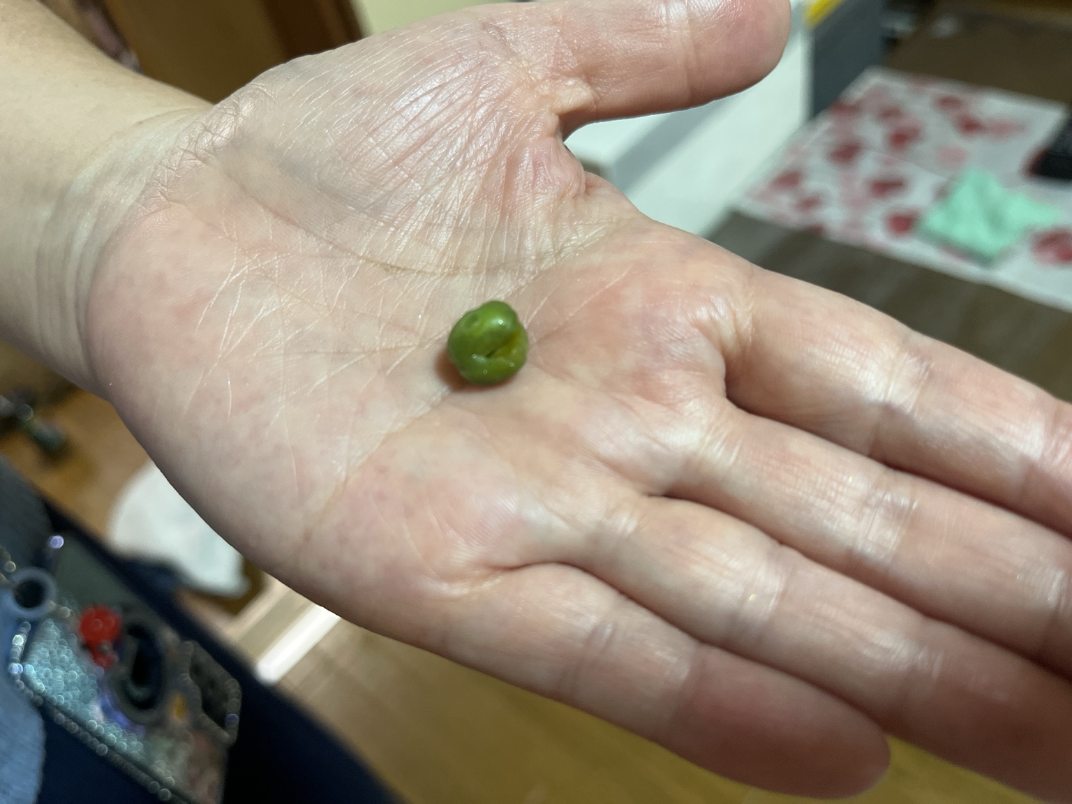 ドレン排水経路から出てきた緑色の異物