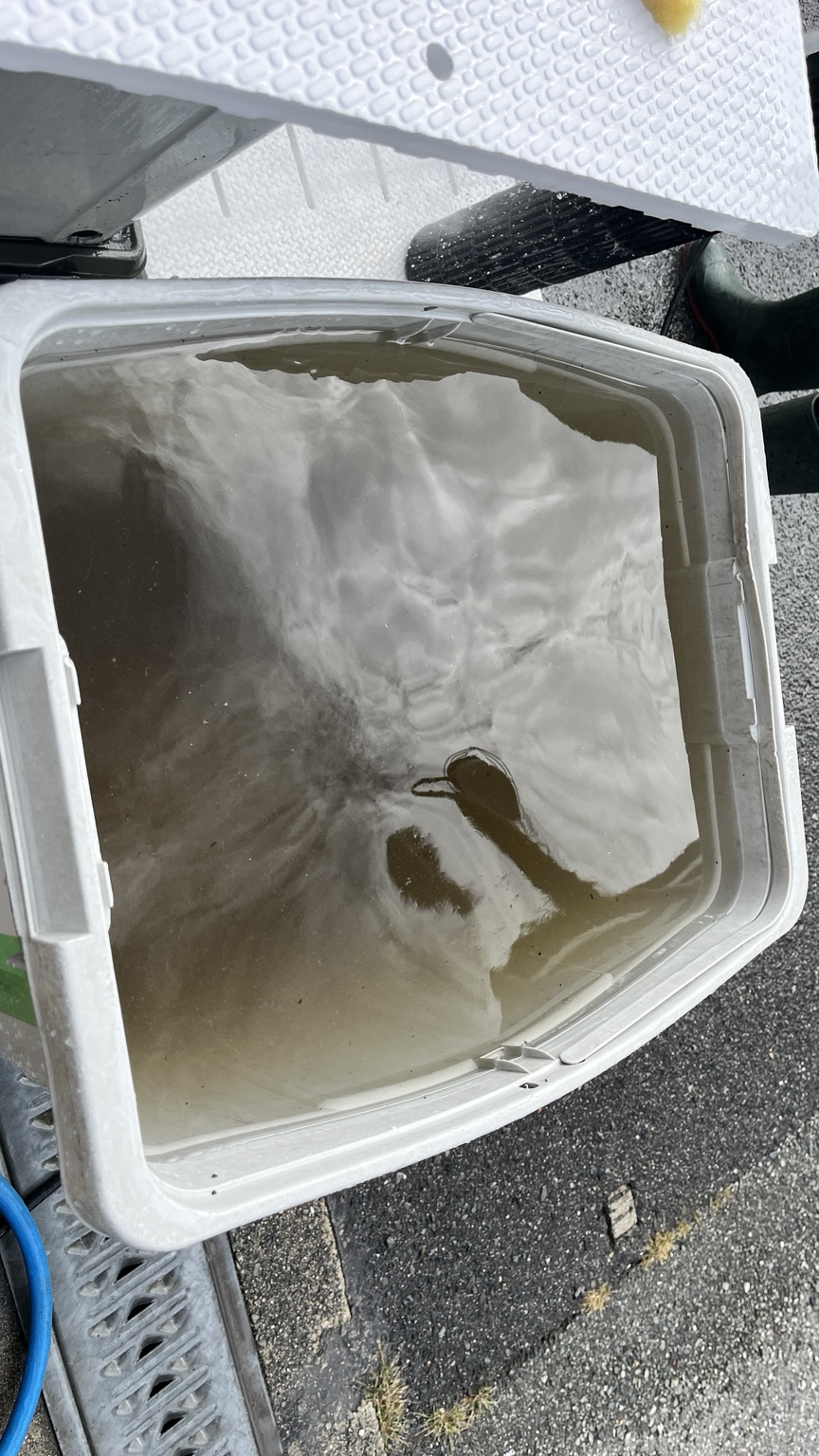 エアコン部品から落ちたヤニで茶色く濁った洗浄水