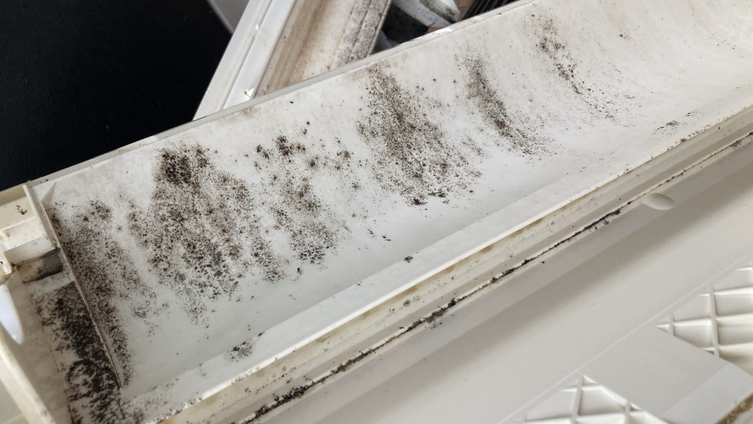 ケーシングの汚れを近くから確認