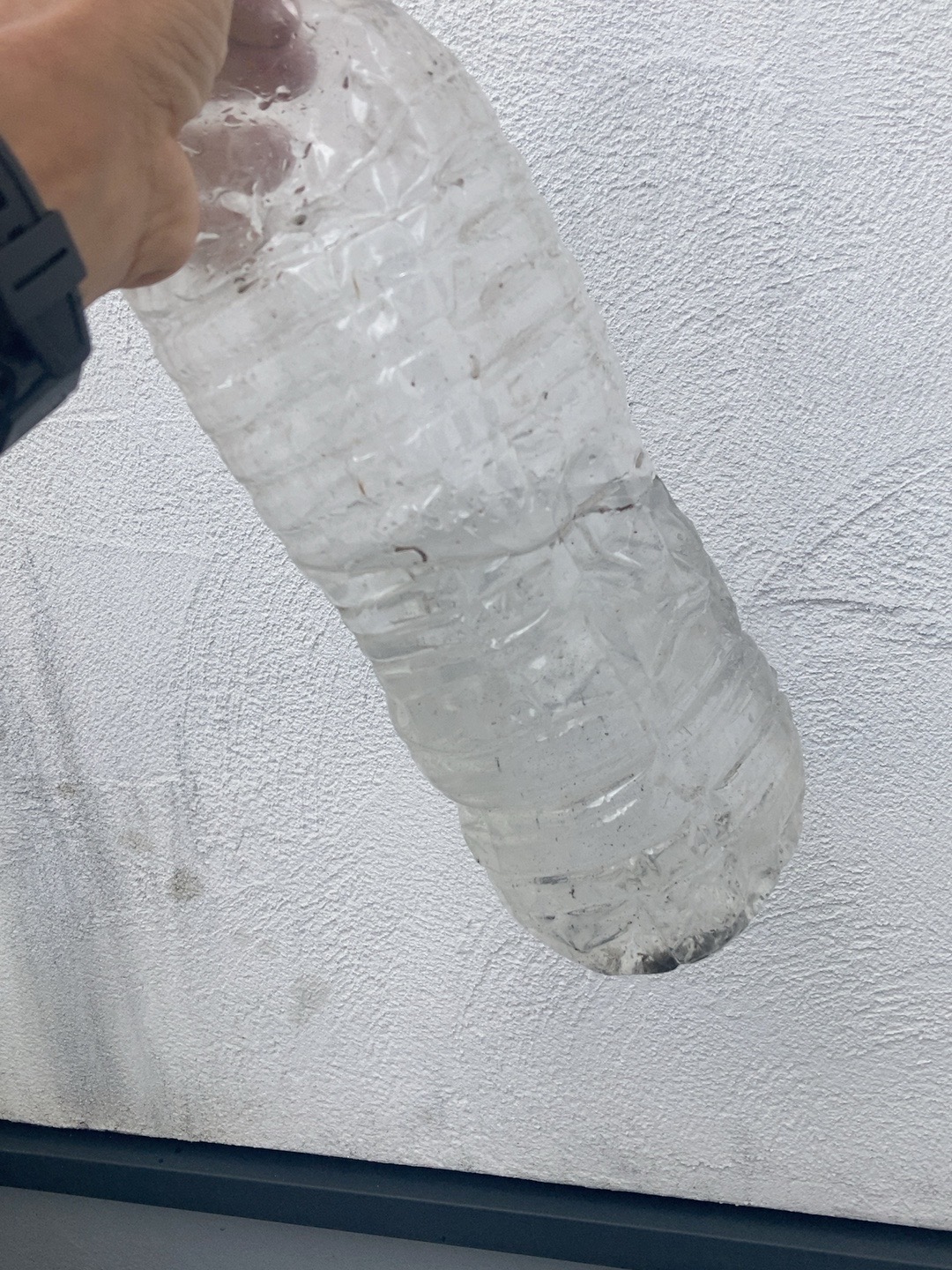 ドレンパイプ洗浄後の水に混ざった細かなゴミ