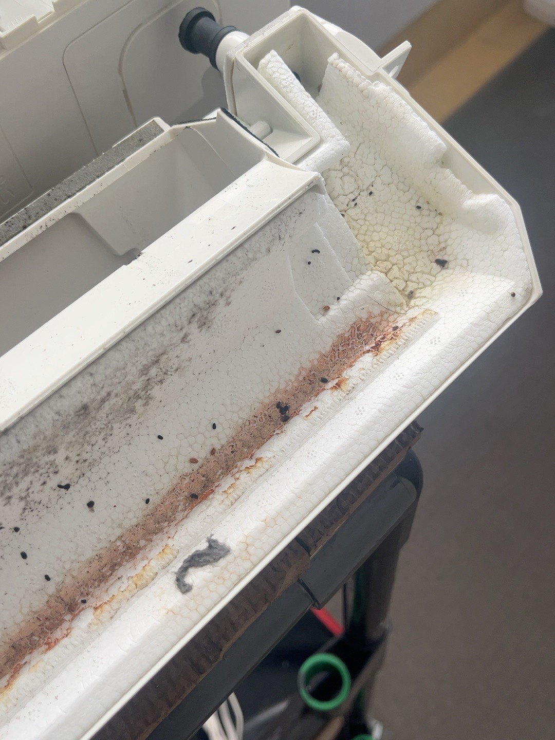 排水口側にも、粒状の付着物と赤茶色の汚れが残っていました。
