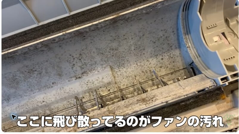 送風ファンと熱交換器裏側に付着したカビや汚れ