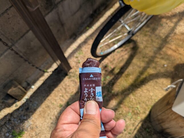 片手で食べれる塩入ようかん